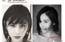 明星黑料最新,明星黑料曝光，真相背后引人深思